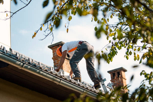 Best Cold Roofs  in Thomaston, GA