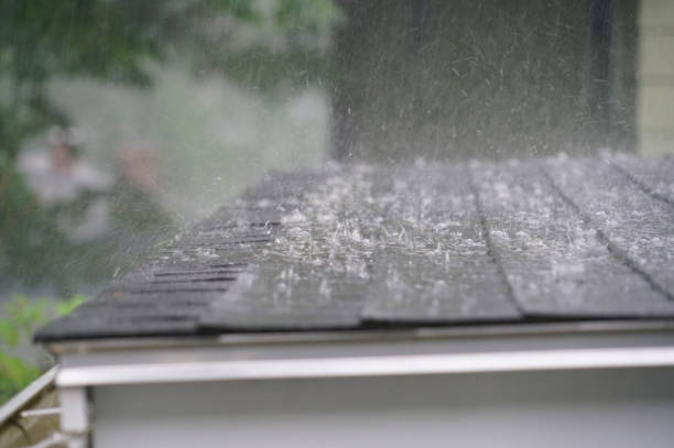 Best Solar Panel Roofing Installation  in Thomaston, GA