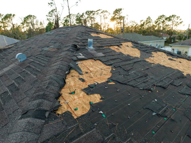 Best Roof Maintenance and Cleaning  in Thomaston, GA